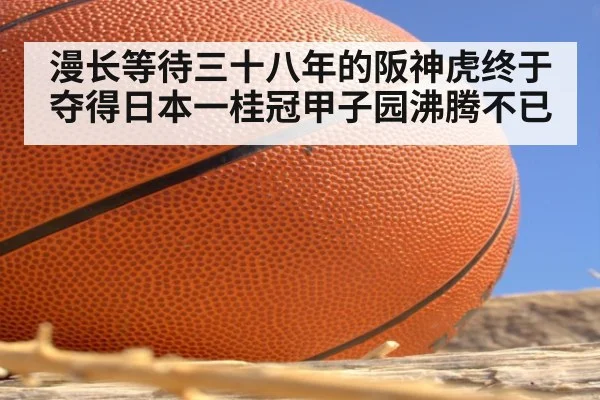 漫长等待三十八年的阪神虎终于夺得日本一桂冠甲子园沸腾不已